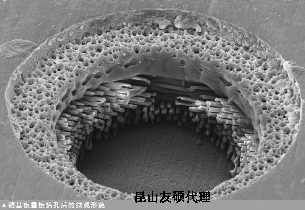 绥化蔡司绥化扫描电镜